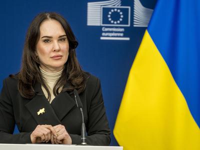 Slika članka