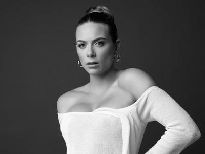 Slika članka