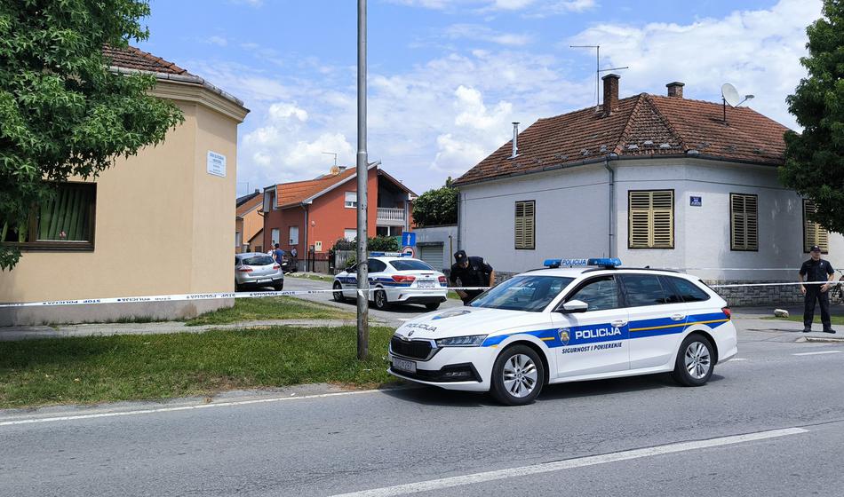Slika članka