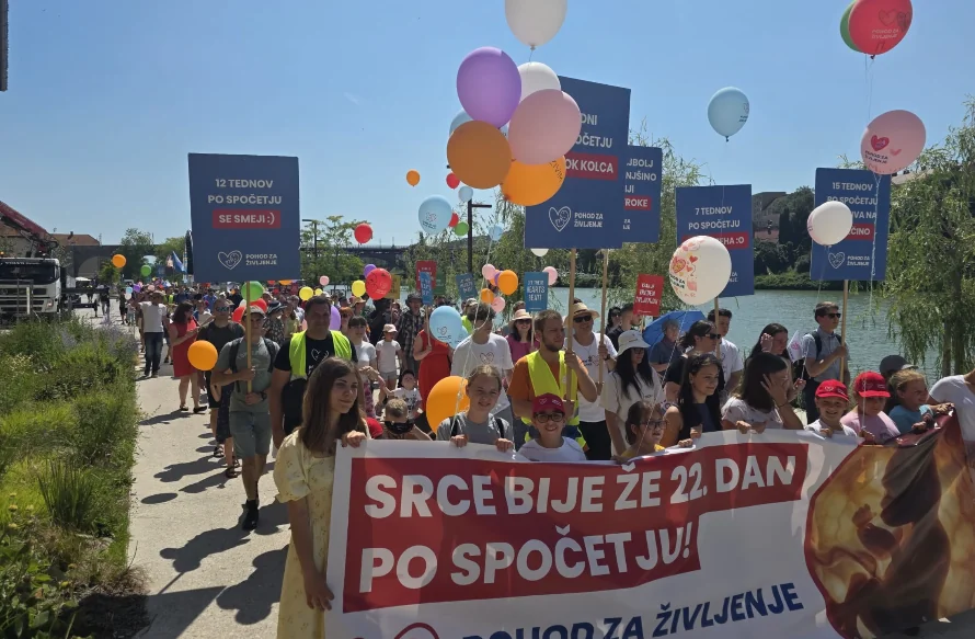 Slika članka