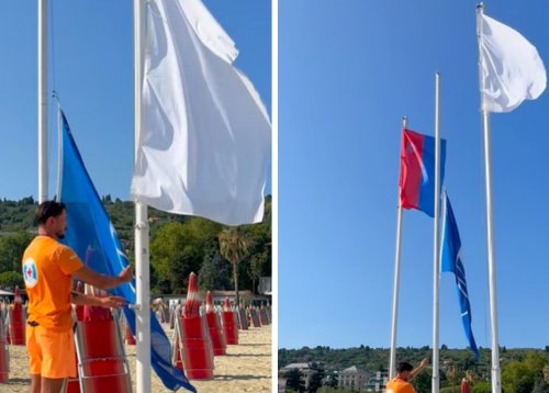 Slika članka