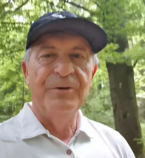 Slika članka