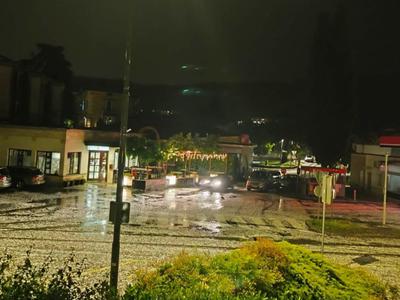Slika članka