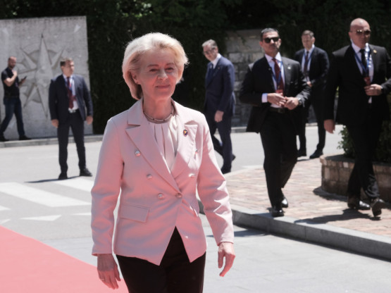 Slika članka