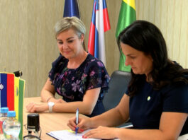 Slika članka
