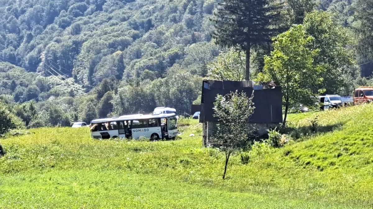 Slika članka