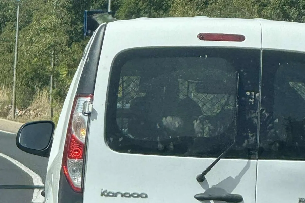 Slika članka