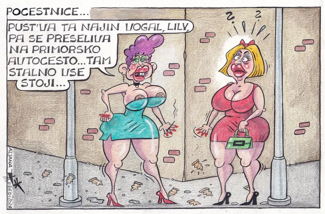 Slika članka