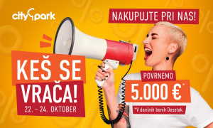 Slika članka