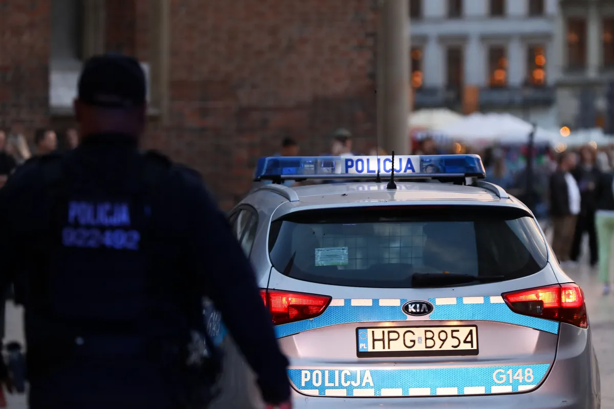 Slika članka