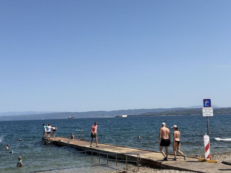 Slika članka