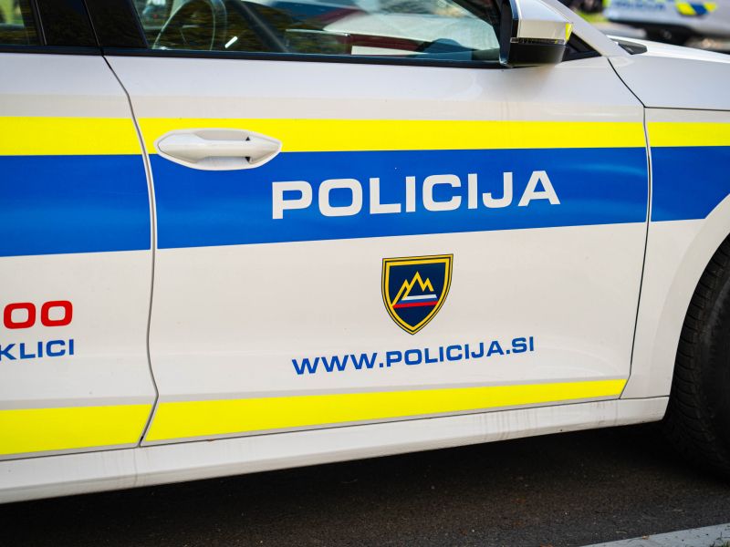 Slika članka