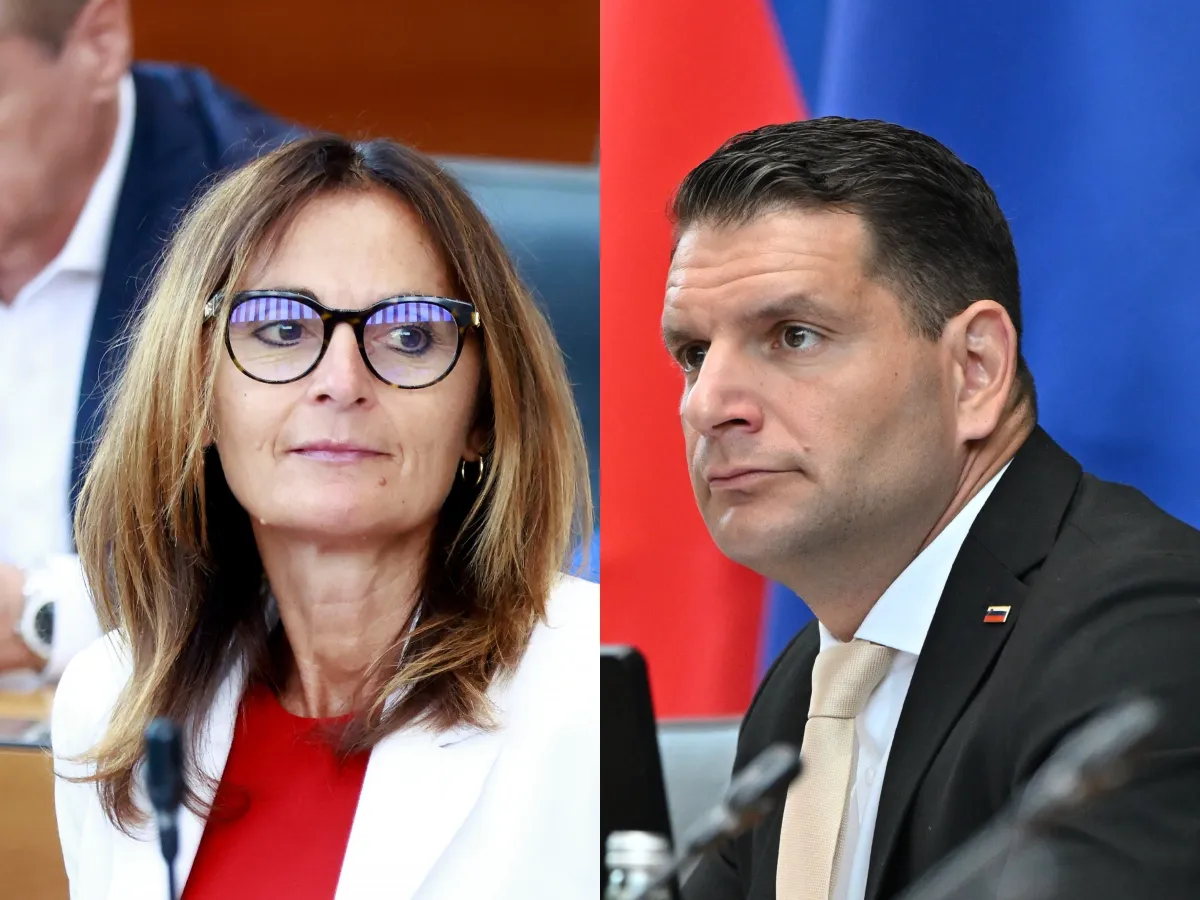 Slika članka