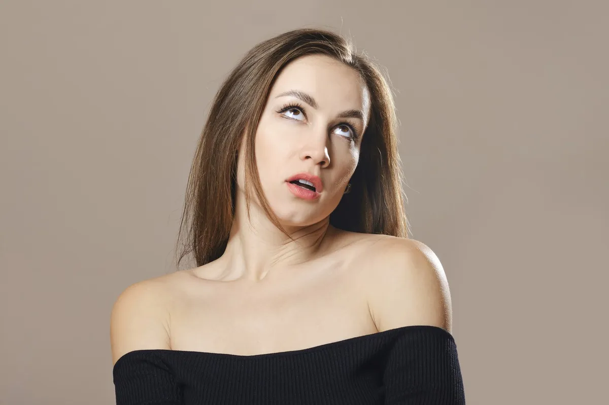 Slika članka