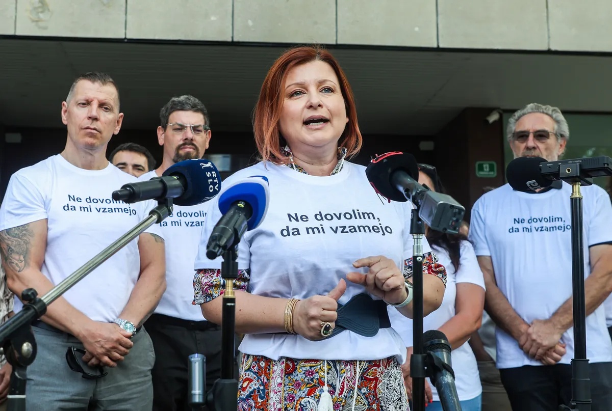 Slika članka