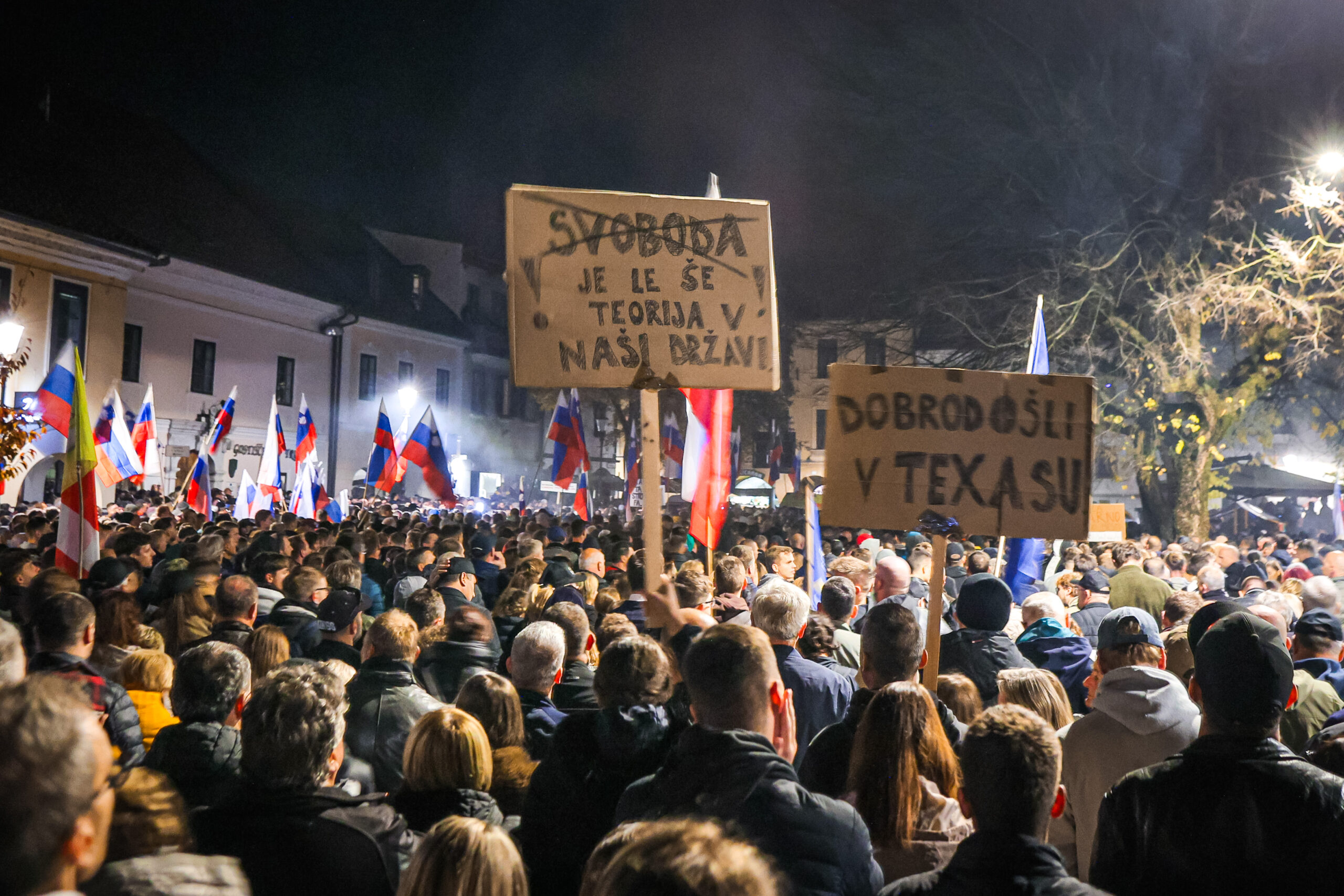 Slika članka