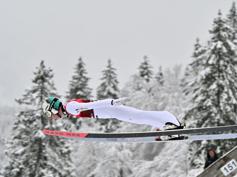Slika članka