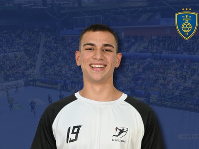 Slika članka