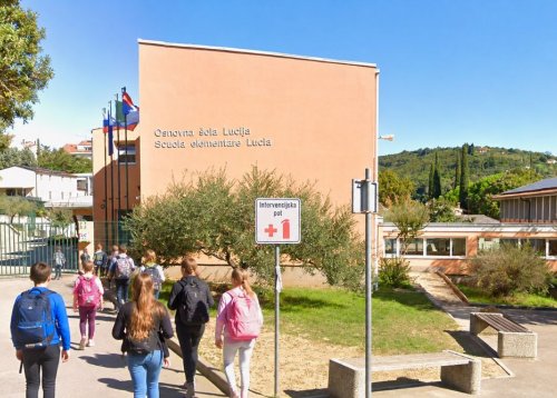 Slika članka