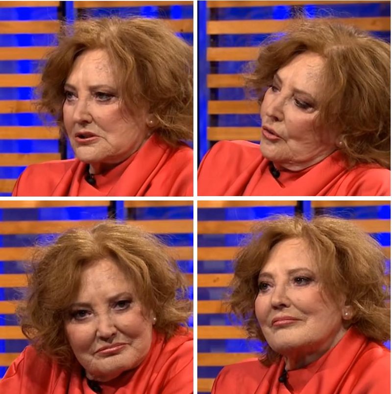 Slika članka