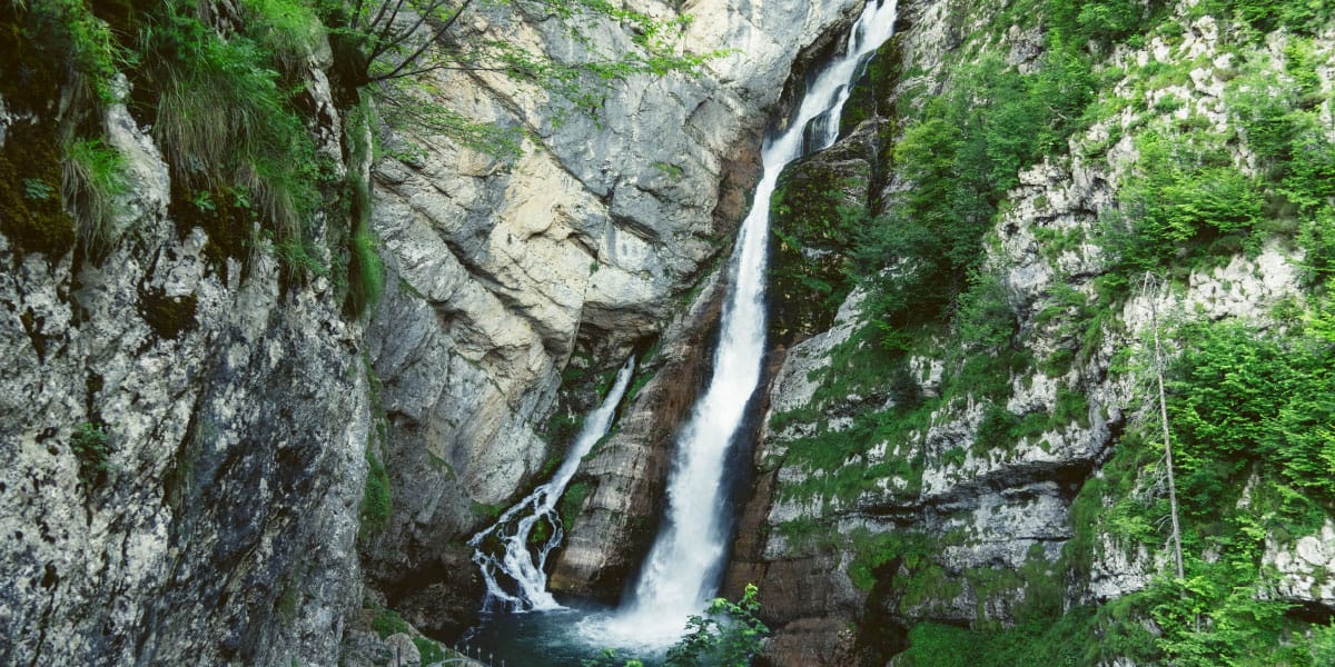 Slika članka