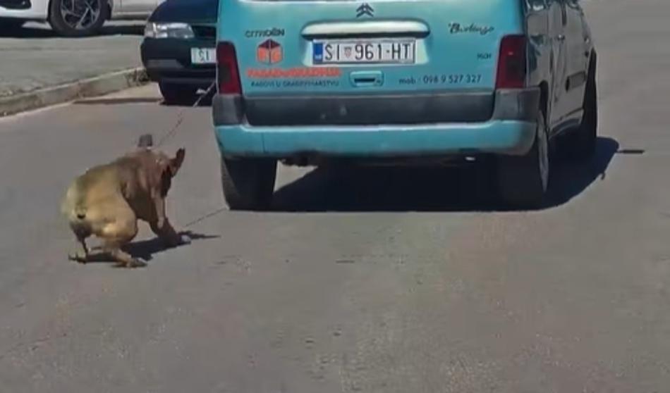 Slika članka