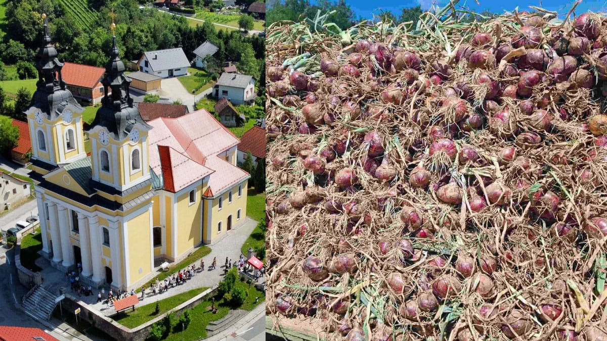 Slika članka
