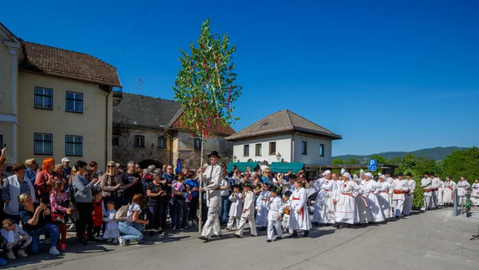 Slika članka