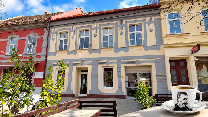Slika članka
