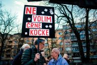 Slika članka