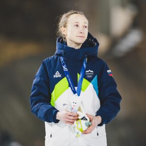 Slika članka