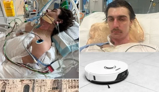 Slika članka