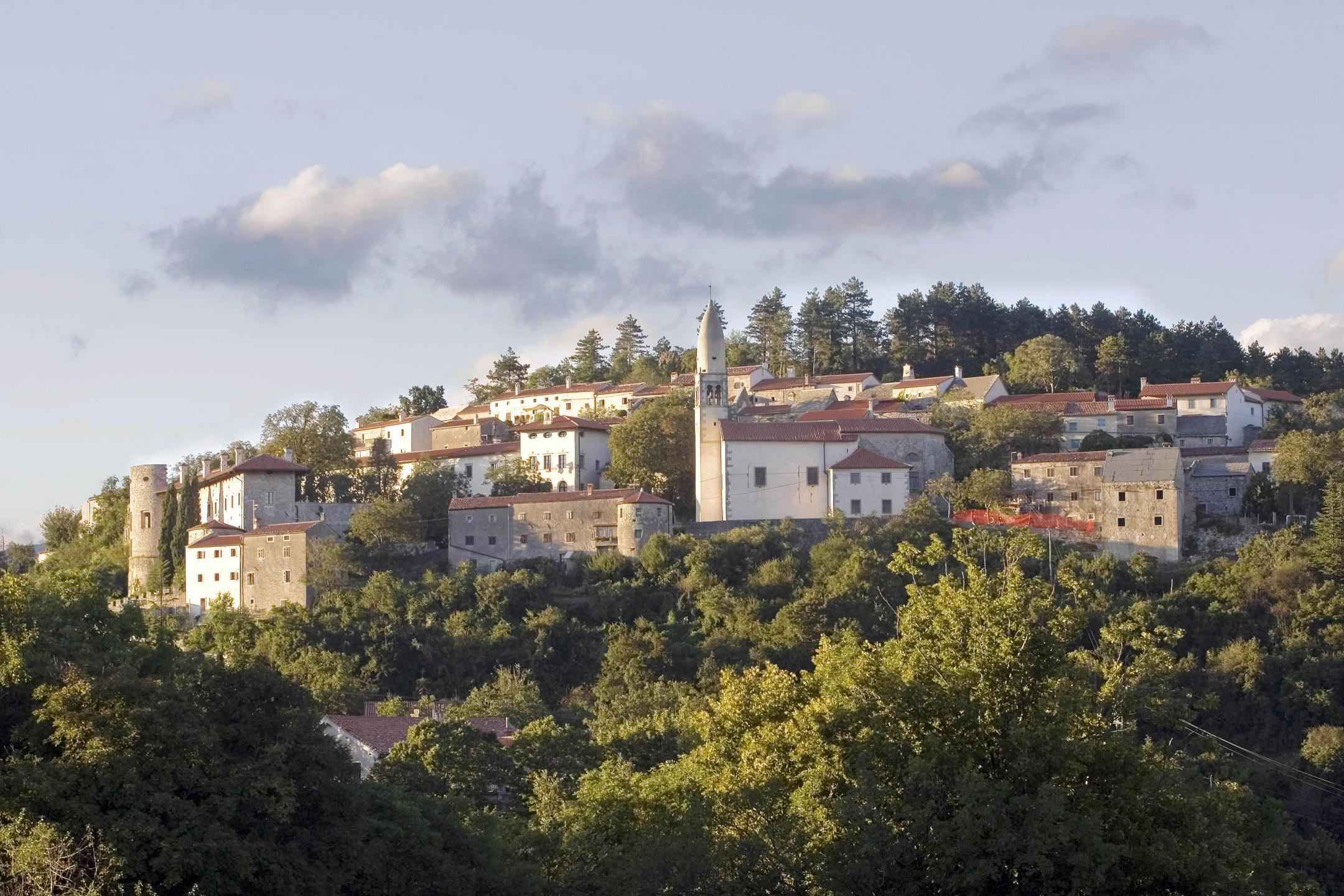 Slika članka