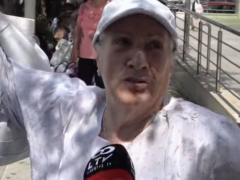 Slika članka