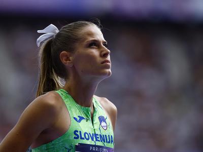 Slika članka