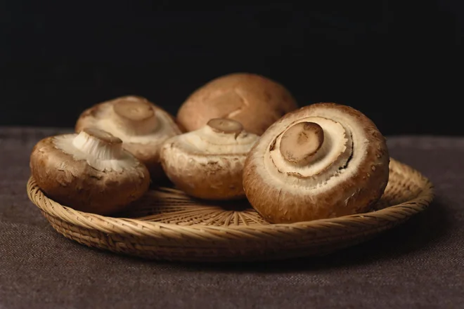 Slika članka