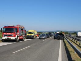 Slika članka
