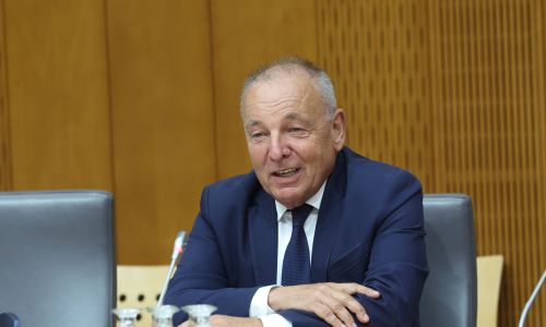 Slika članka