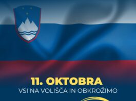 Slika članka