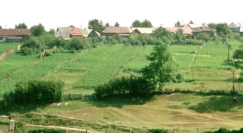 Slika članka