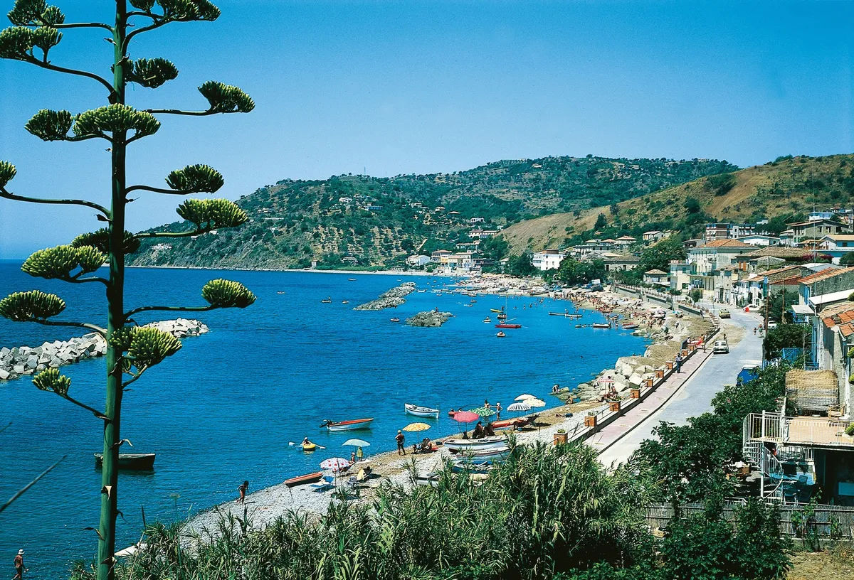 Slika članka