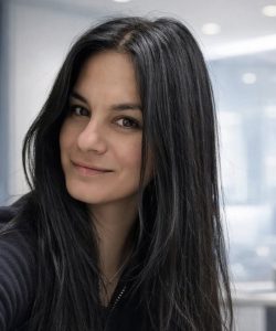Slika članka