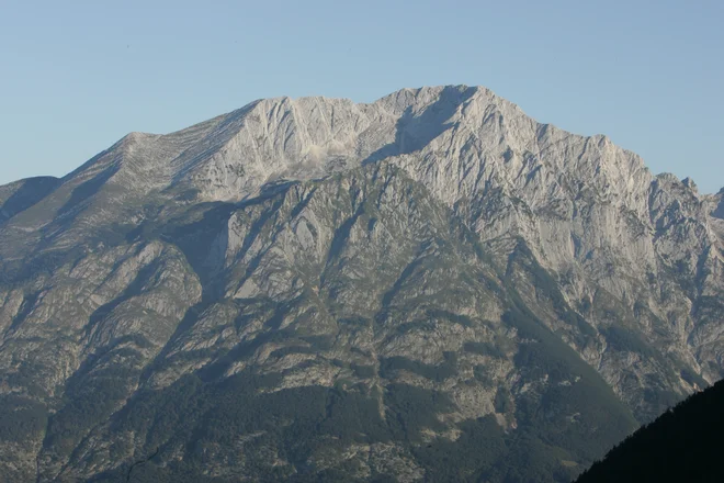 Slika članka