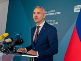 Slika članka