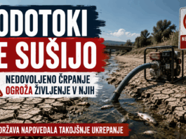 Slika članka