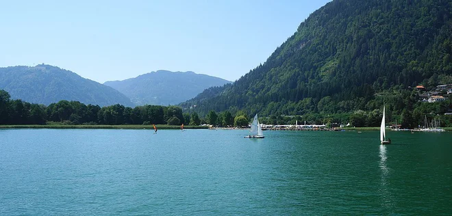 Slika članka