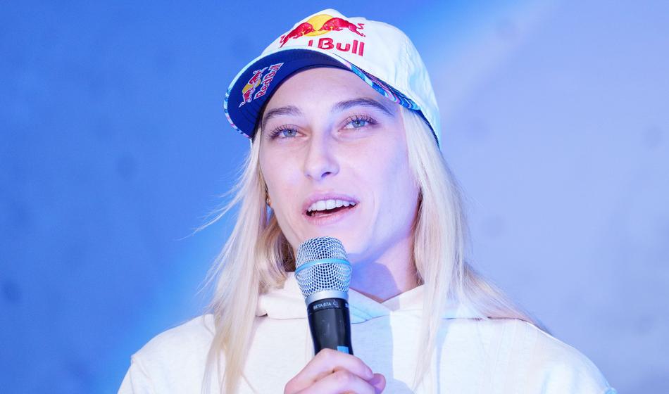 Slika članka