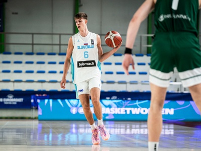Slika članka