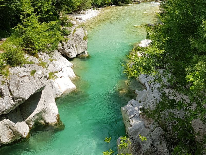 Slika članka