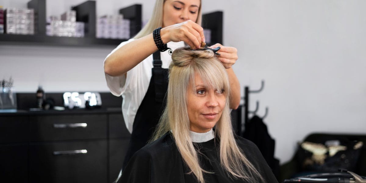 Slika članka